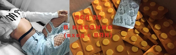 гидра Каменногорск