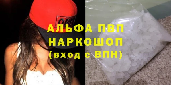 гидра Каменногорск