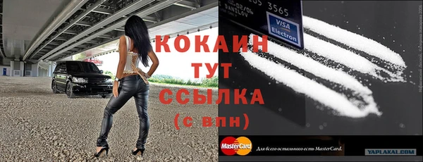 apvp Карпинск