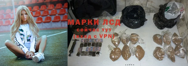 гидра Каменногорск